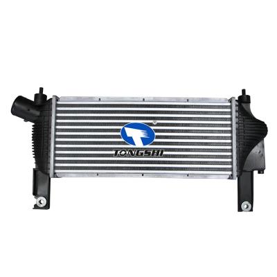适用于日产尼桑 PATHFINDER (R51) 中冷器 OEM： 14461-EB360