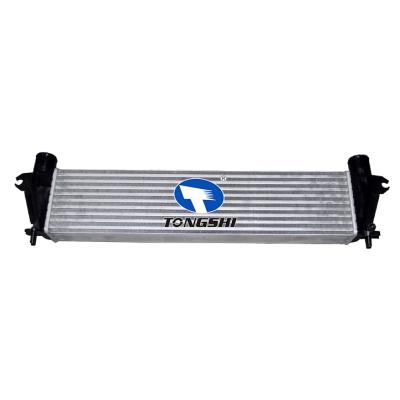 适用于五十铃ISUZU D-MAX 2.5 Ddi 12-中冷器 OEM : 8980906272