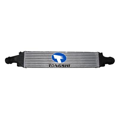 适用于奥迪 A4/S4 2.7TDI 07-中冷器 OEM : 80A145805J