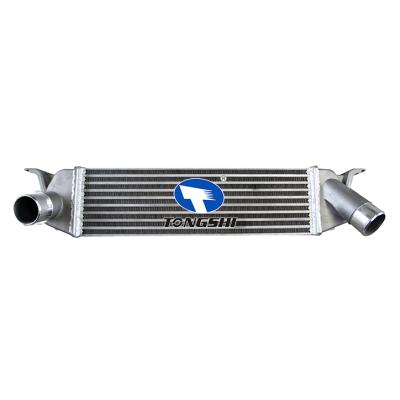适用于现代iLoad Box (TQ) 08-中冷器 OEM : 281904A481