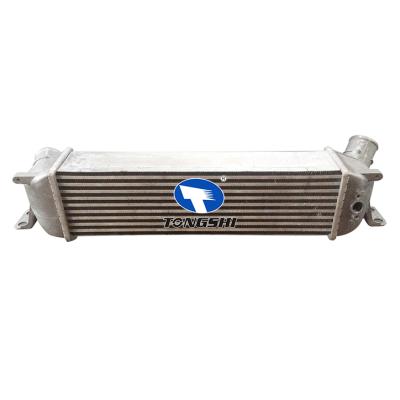 适用于现代iLoad Box (TQ) 08-中冷器 OEM : 281904A481