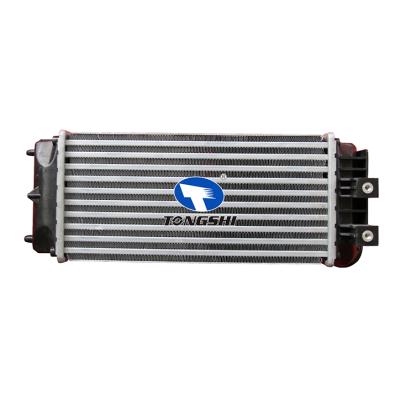 适用于雪铁龙BERLINGO (B9) 08-/标致308 (4A_/4C_) 1.6 HDI 09-中冷器 OEM : 9800291280