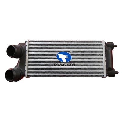 适用于雪铁龙BERLINGO (B9) 08-/标致308 (4A_/4C_) 1.6 HDI 09-中冷器 OEM : 9800291280
