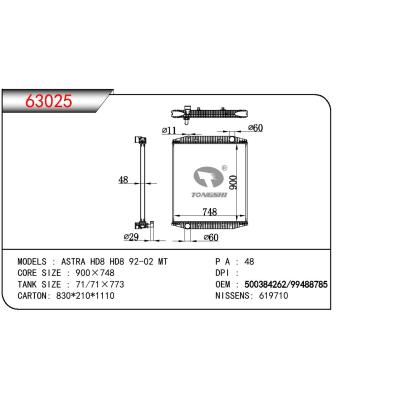 适用于CHINESE CAR ASTRA HD8 HD8 OEM:500384262/99488785