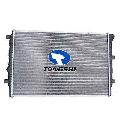 适用于VOLKSWAGEN 速腾SAGITAR/帕萨特PASSAT BEETLE甲壳虫 PINKBEETLE L4 1.8L